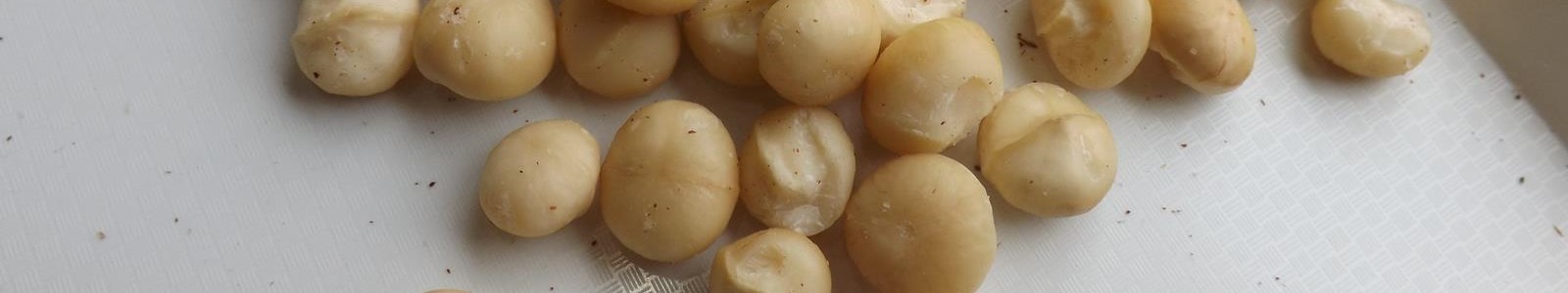 Harvest Macadamia Australia - Shell Roasted, Pre-Cracked Australian Macadamia Nuts